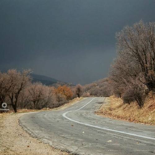  هیشکی از خدا نپرسید چرا سیبو کاشت دیدم می ده حال بشینم پاش